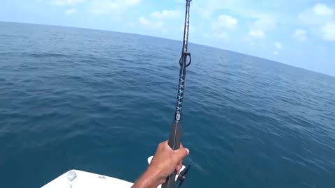 pesca a pesci grossi o big fish, parte 2, hammer shark o grande squalo martello_part5