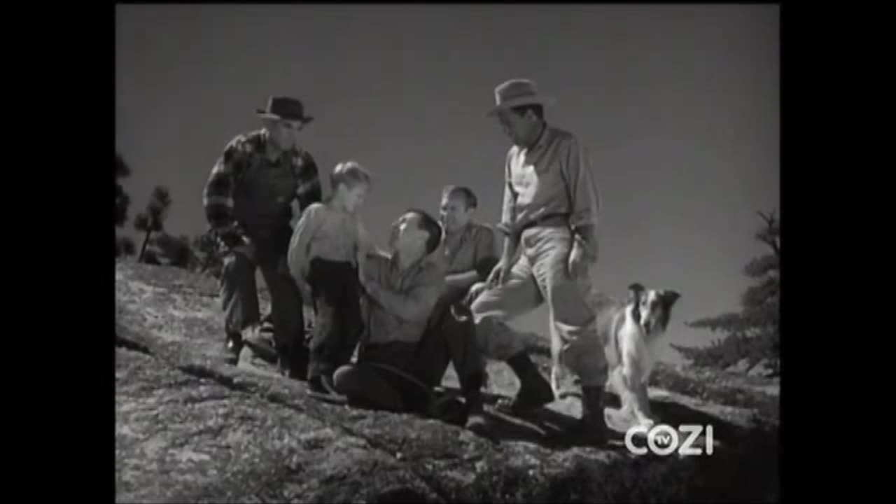 Lassie - Episode 201 - 'The Maverick'