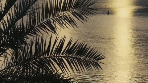 Waves of Calm ✨ Instrumental lofi piano inspiring music to relax