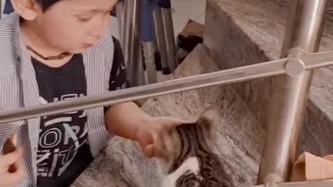 Fahham’s First Time with a Cat 🐈