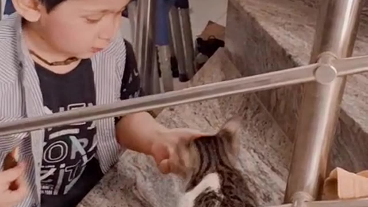Fahham’s First Time with a Cat 🐈
