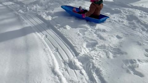 Baby Sleds Into Tree