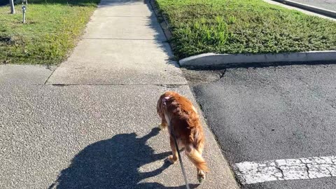 We walked in the warm sunshine...