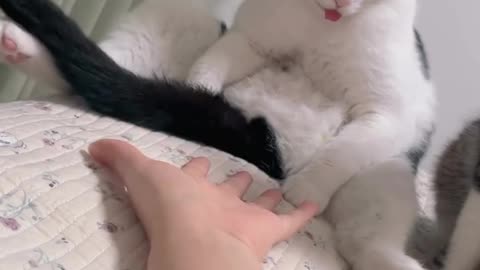 She is fast mind than me