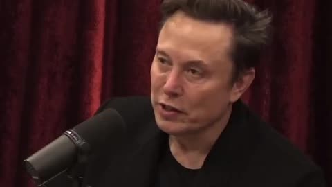 Elon discussing NGO's