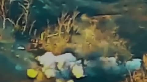 Early-Morning Assault on Ukrainian Lines Ends in Catastrophe