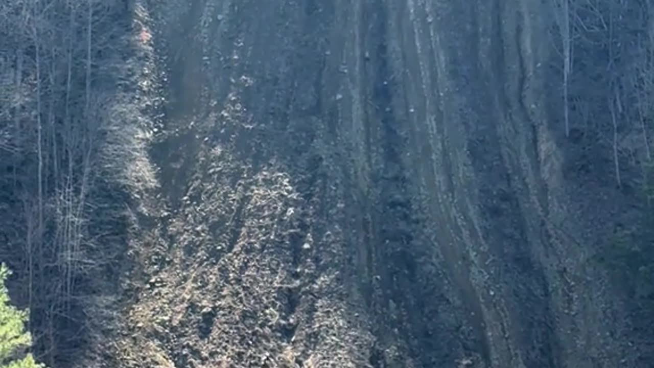 If This Hadn't Been Caught On Camera, No One Would Have Believed It