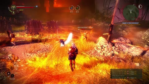 Let's Play Witcher 2 BLIND # 36 - Into The Mist