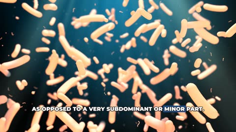 What is Candida? with Dr. Michael Biamonte