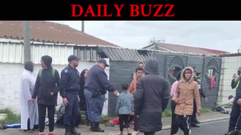 Gang Violence