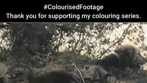 Desperate Measures on the Battlefield #ColourisedHistory