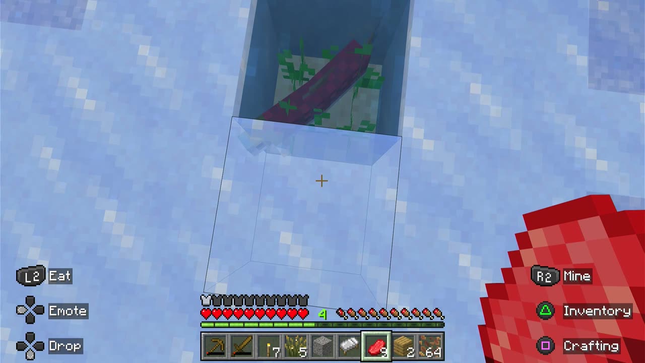 Hi Fishy! #shorts