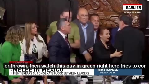 WATCH: Tensions Boil Over Into Shocking Physical Brawl In Mexico’s Senate