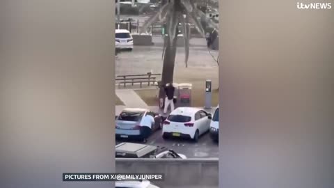 Twelve dead after shooting on Sydney's Bondi Beach, Australian police say