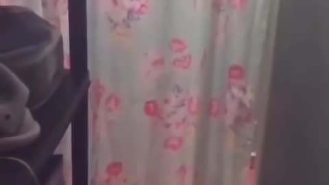 👻👽 Scary Clip: #ghostlytoksa Oujia Board Catches Ghosts! | TheHauntingHour