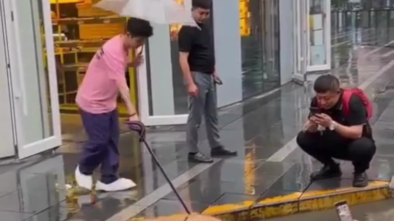 ** Chillest Pet Ever: Capybara Not Phased by Rain!**