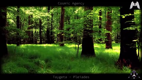 Galactic Federation, CIA Control of UFO Communities, Fake Alien Invasion - Yazhi and Swaruu