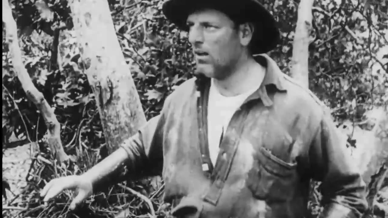 BRONCHO BILLY'S LAST HOLD-UP (Essanay-1912) NEW English subtitles.