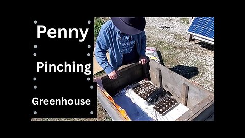 Can Seeds From Store Bought Vegetables Really Grow? This year, I'm Giving it a Try