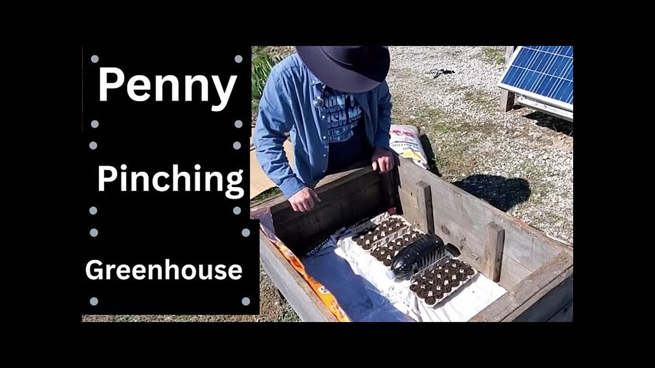 Can Seeds From Store Bought Vegetables Really Grow? This year, I'm Giving it a Try