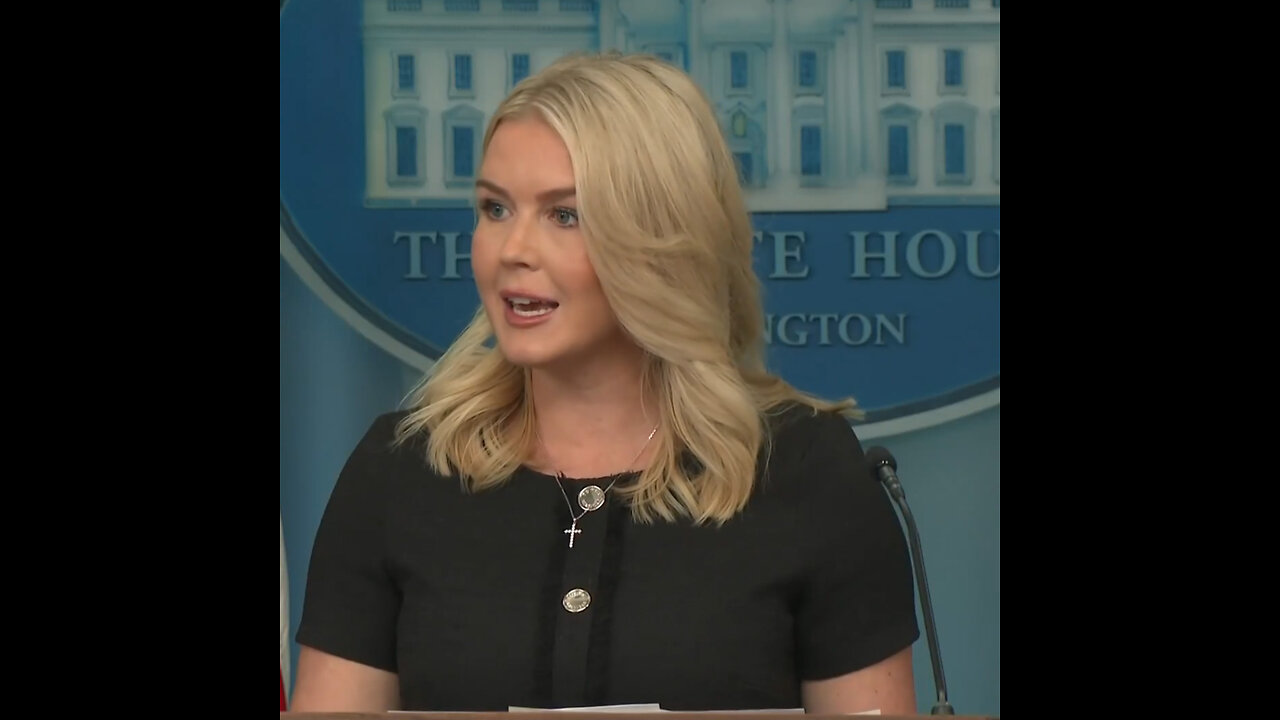 Leavitt: "Obviamente tenemos problemas mentales en este país"