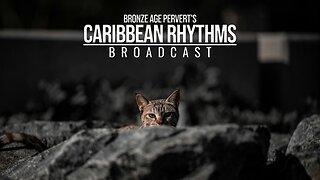 Ep 105 "Group Being Rayp" • Caribbean Rhythms w/ Bronze Age Pervert