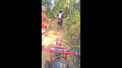 speeding with friends