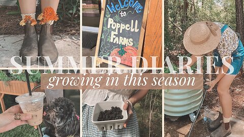 I Didn’t Think I’d Be a Gardener (But Here We Are) | Making Space to Grow