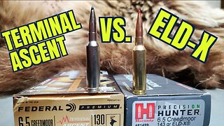 Federal Terminal Ascent vs. Hornady ELD-X 6.5 Creedmoor