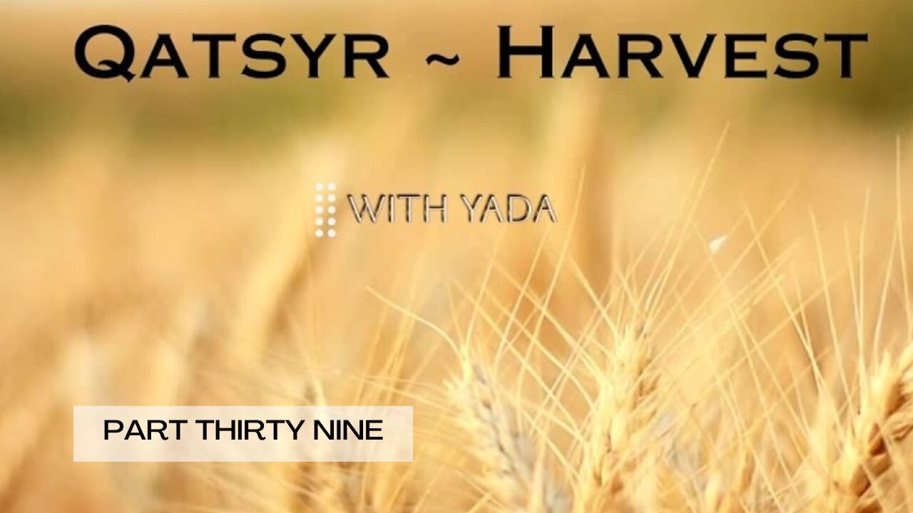 Qatsyr ~ Harvest Part Thirty Nine 03 April 2025