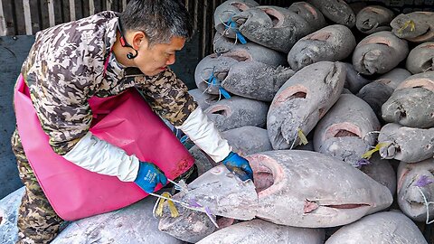 500 Tons of Tuna Sold Every Year!! Unbelievable Giant Tuna Sushi