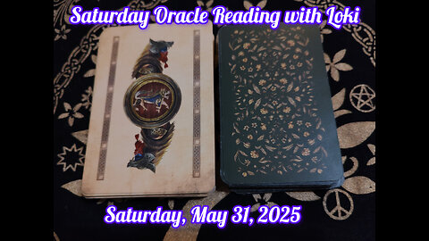 Saturday Oracle Reading with Loki: May 31, 2025