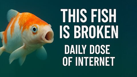 This Fish is Broken - Daily Does of Internet