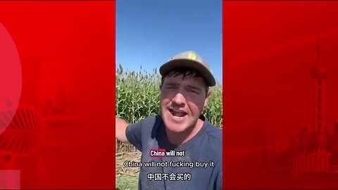 US Farmers EXPOSE the TRUTH: China Wins Trade War While American Farmers Go BROKE!