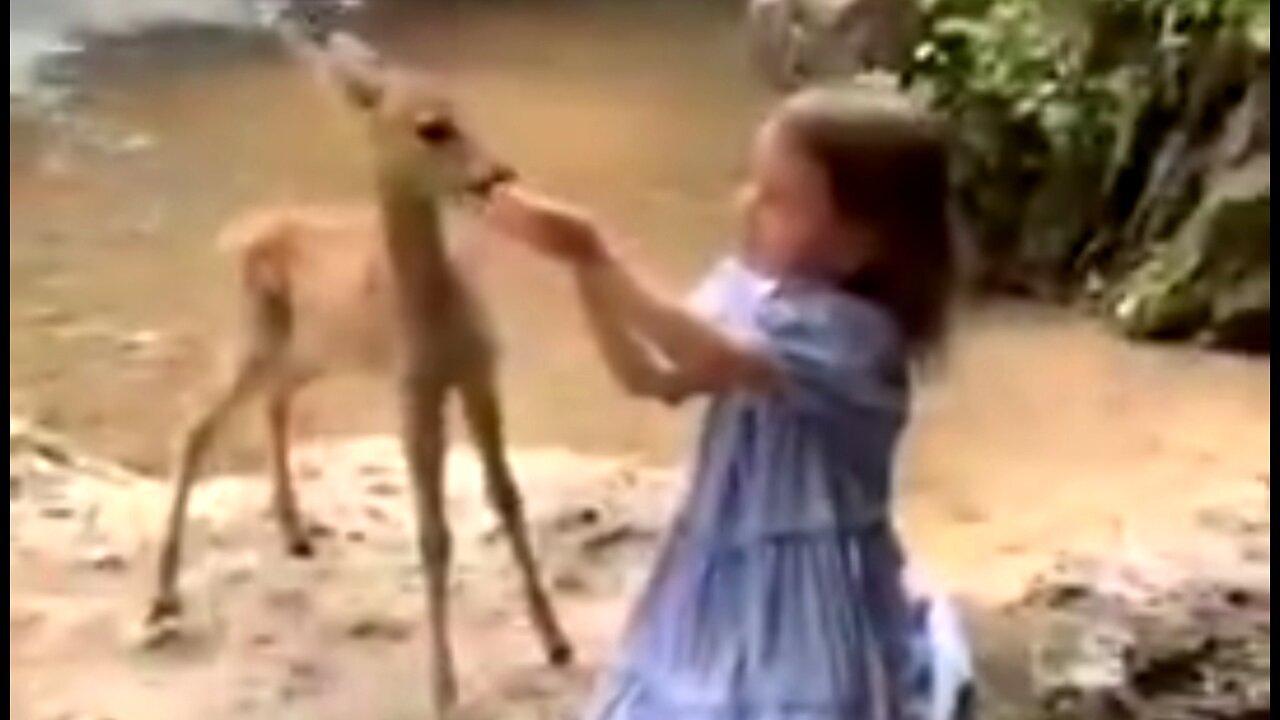 A HEART FOR GOD - DAILY DEVOTIONAL ❤️