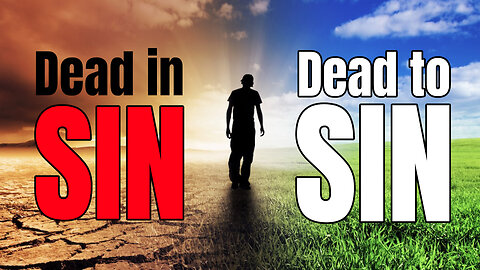 Dead in Sin & Dead to Sin