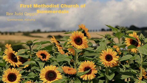 Sunday Worship Service - August 24, 2025