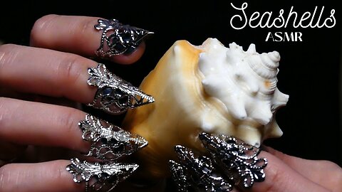 ASMR Tapping & Scratching on Seashells *INTENSE SCRATCHING* (no talking)
