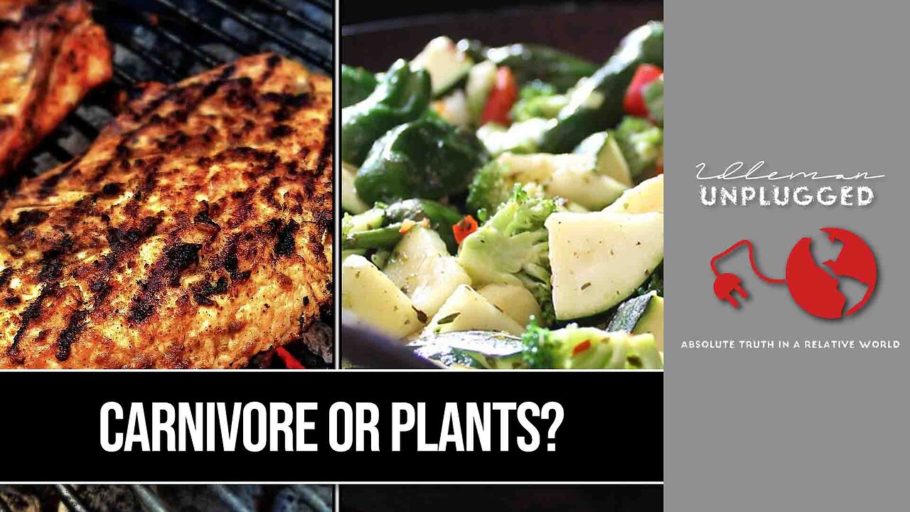 ACCORDING TO THE BIBLE What Diet is Best | Idleman Unplugged