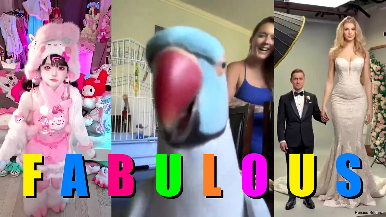 FABULOUS VIDEO COMPILATION