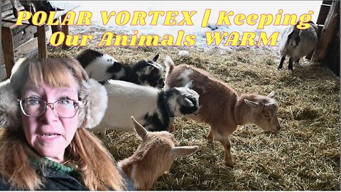 What WE Do To Keep OUR ANIMALS Warm In A POLAR VORTEX!