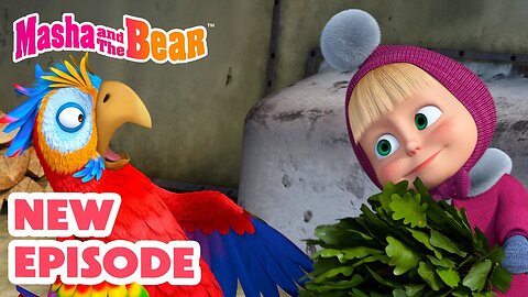 Masha and the Bear 👉 NEW EPISODE 2025 🦜 It's no Slice of Heaven 🎩👀