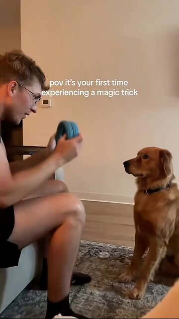 Love All Life Always #471 - Dogs Reactions To Magic - Very Cool 😎