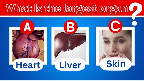 Human Body Quiz 🧠💪 Human body and their functions Part-1 #brainstorming