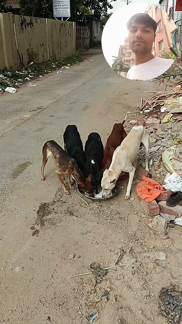 jivdaya mehsana 😁🥰🥰