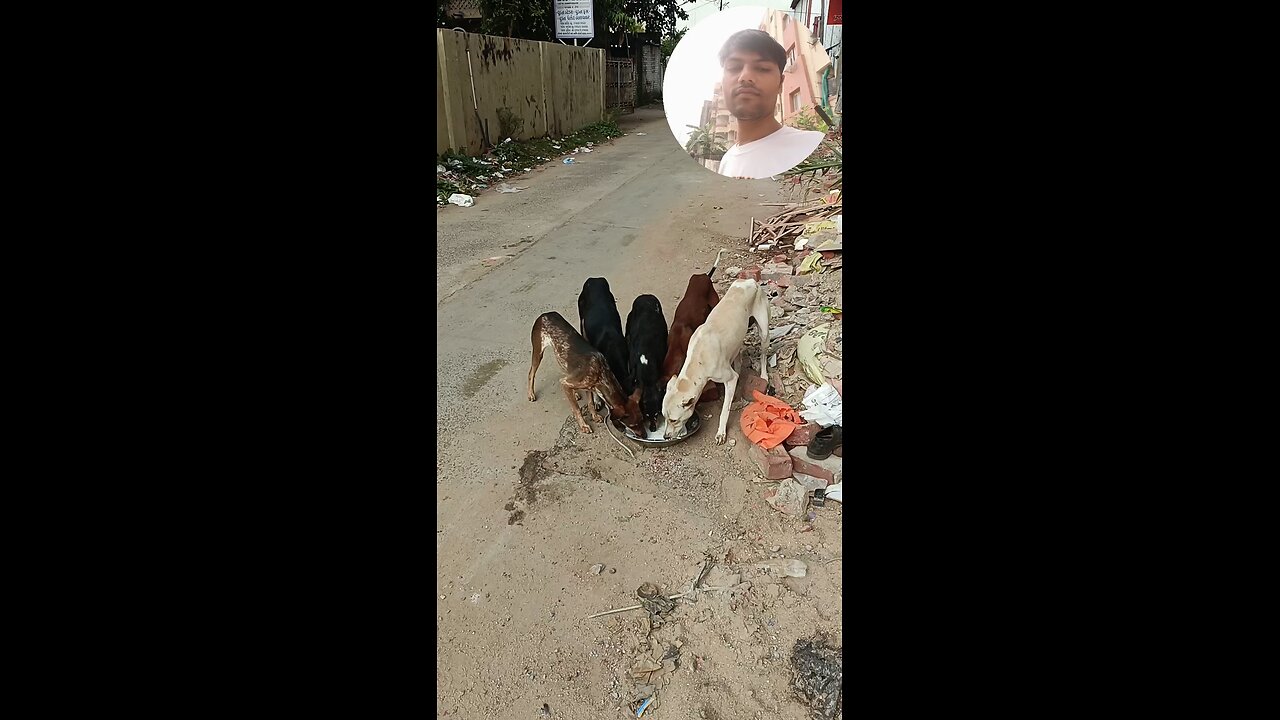 jivdaya mehsana 😁🥰🥰