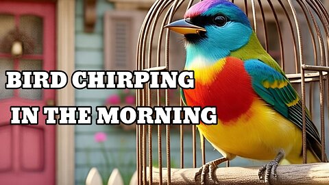 The melodious sound of birds chirping in the morning
