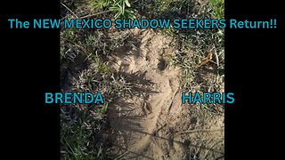 The NEW MEXICO SHADOW SEEKERS Return!!/ BRENDA HARRIS
