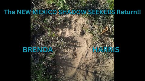 The NEW MEXICO SHADOW SEEKERS Return!!/ BRENDA HARRIS