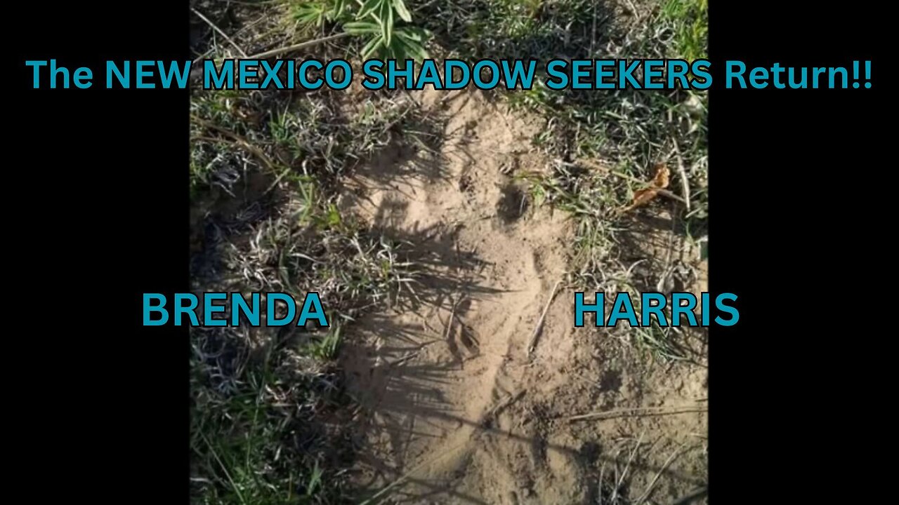 The NEW MEXICO SHADOW SEEKERS Return!!/ BRENDA HARRIS